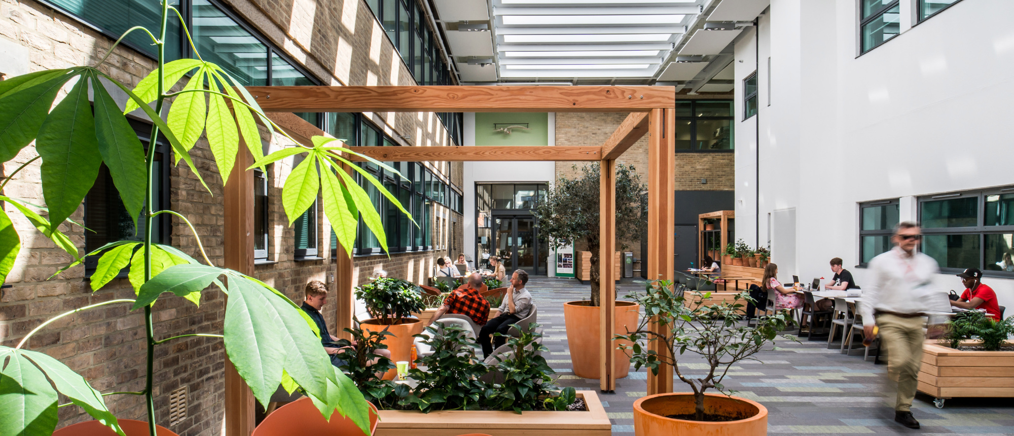Lancaster Environment Centre Atrium - Wilson Mason